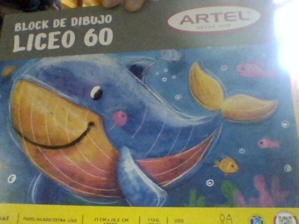 Block de dibujo liceo 60
