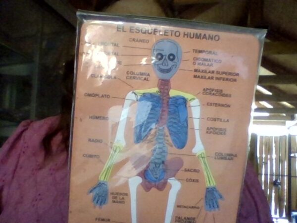 Goma eva cuerpo humano
