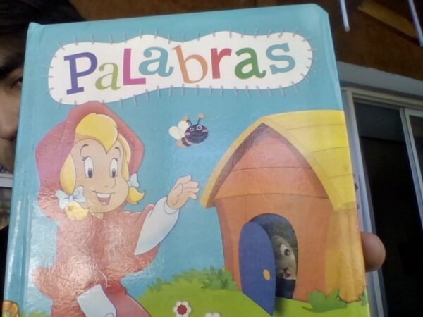 Libro palabras