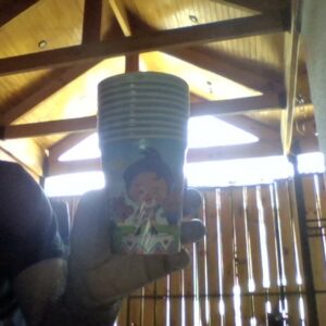 Vasos plasticos (10u)