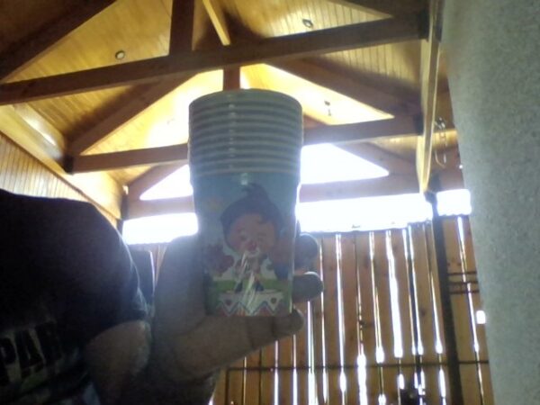 Vasos plasticos (10u)